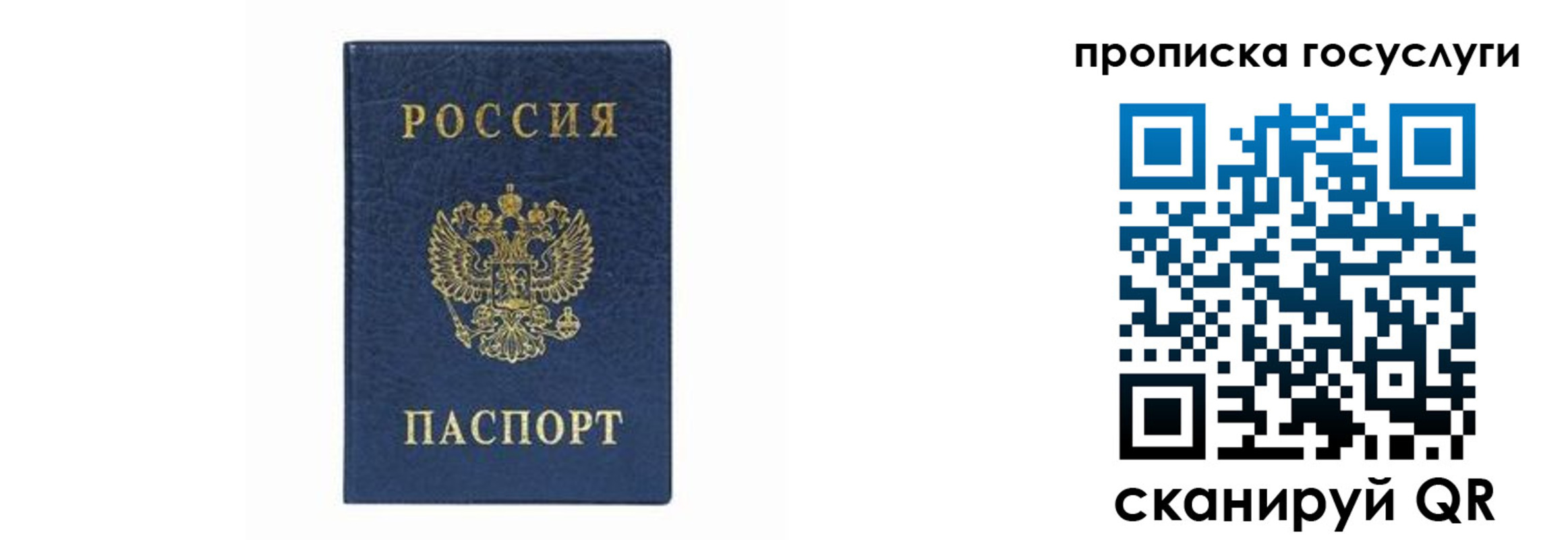 прописка штамп в Чите